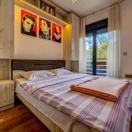 Pine Tree View Pekovic 兹拉蒂博尔