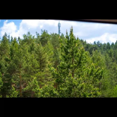 公寓 Pine Tree View Pekovic