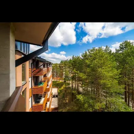 Pine Tree View Pekovic 兹拉蒂博尔