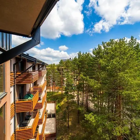 Apartman Pine Tree View Pekovic Zlatibor
