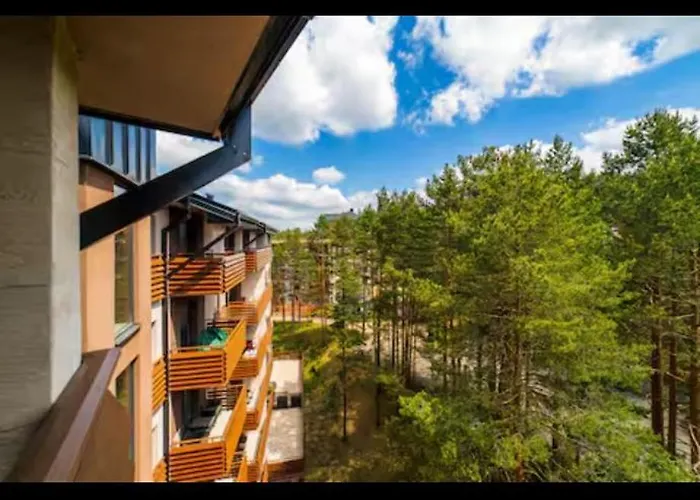 Pine Tree View Pekovic Zlatibor